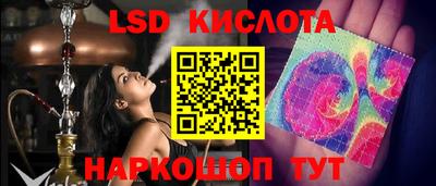 шишки Обь