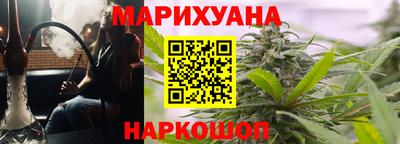 шишки Обь