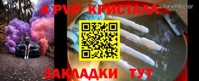 шишки Обь