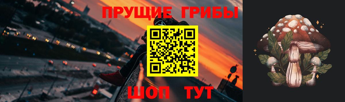 Галлюциногенные грибы Magic Shrooms  Вход с VPN  Сунжа 